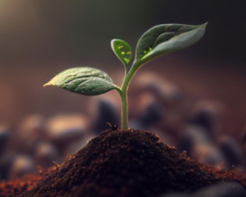 Slashed Services Banner